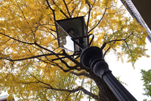 101119 eri2 RIMG4017.jpg